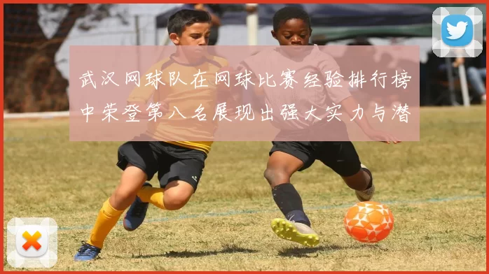 武汉网球队在网球比赛经验排行榜中荣登第八名展现出强大实力与潜力