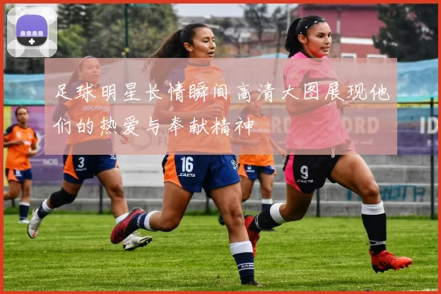 足球明星长情瞬间高清大图展现他们的热爱与奉献精神